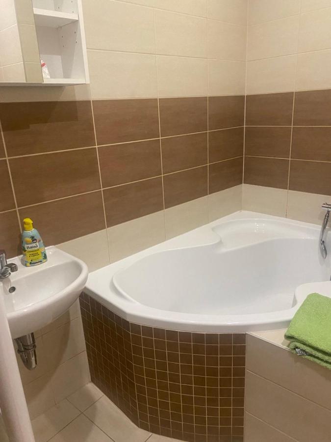 Apartment Am Schlosspark 3 Cheb Zewnętrze zdjęcie
